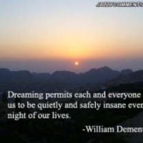 dream quotes (6)